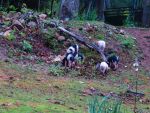 Photo IMG_2659.JPG