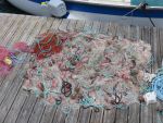 Photo IMG_2685.JPG