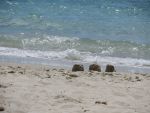 Photo IMG_2887.JPG